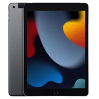 Apple iPad (9th Gen.)